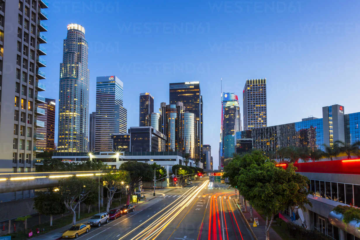 Los Angeles palm trees and skyline